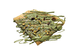 Pistacchio Crepe 